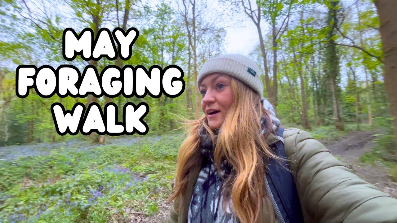 What Can You Forage in May?