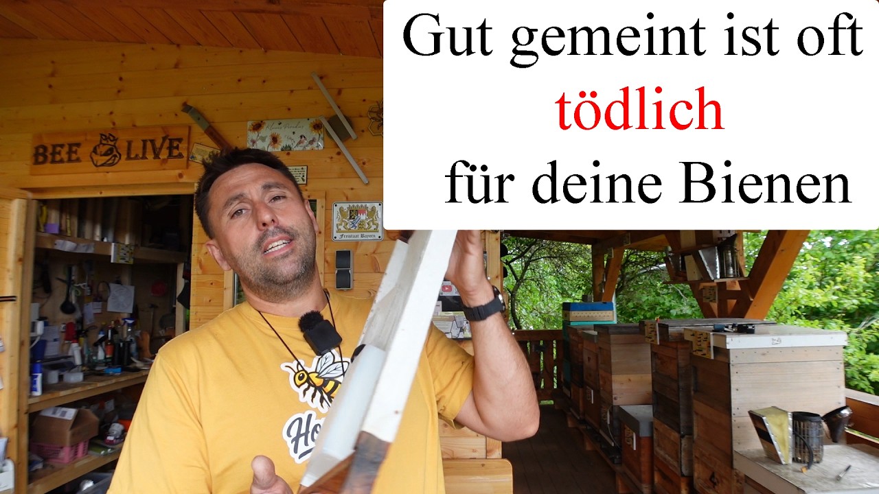 Varroa Behandlung gut gemeint ist oft tödlich – für deine Bienen