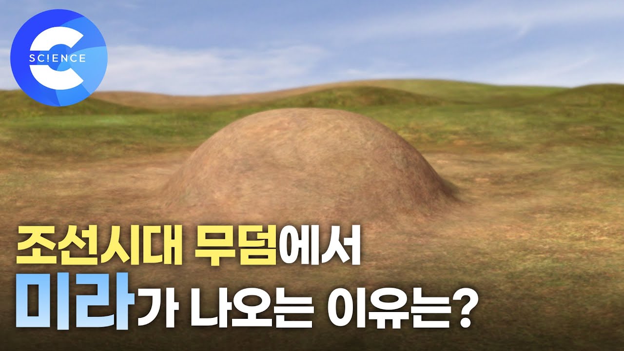 조선시대 무덤에서 미라가 발견되는 이유는 뭘까?