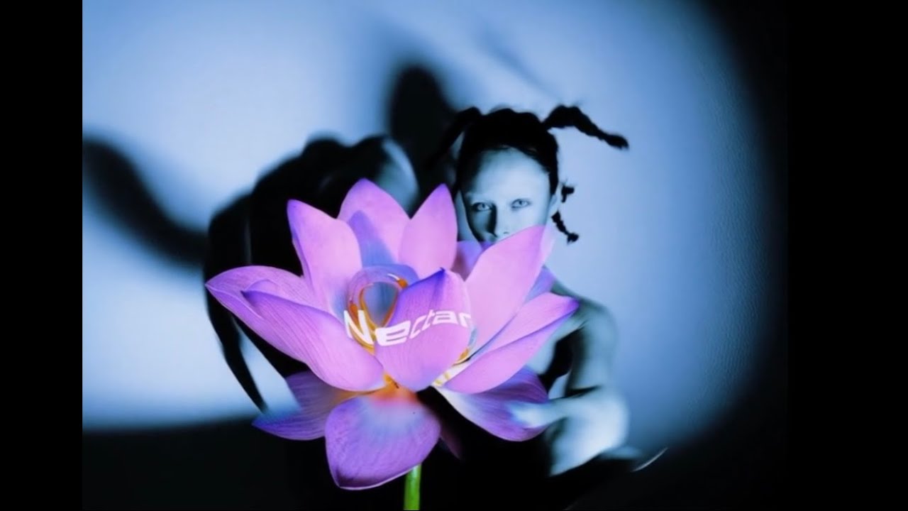 YELOLAVA - NECTAR