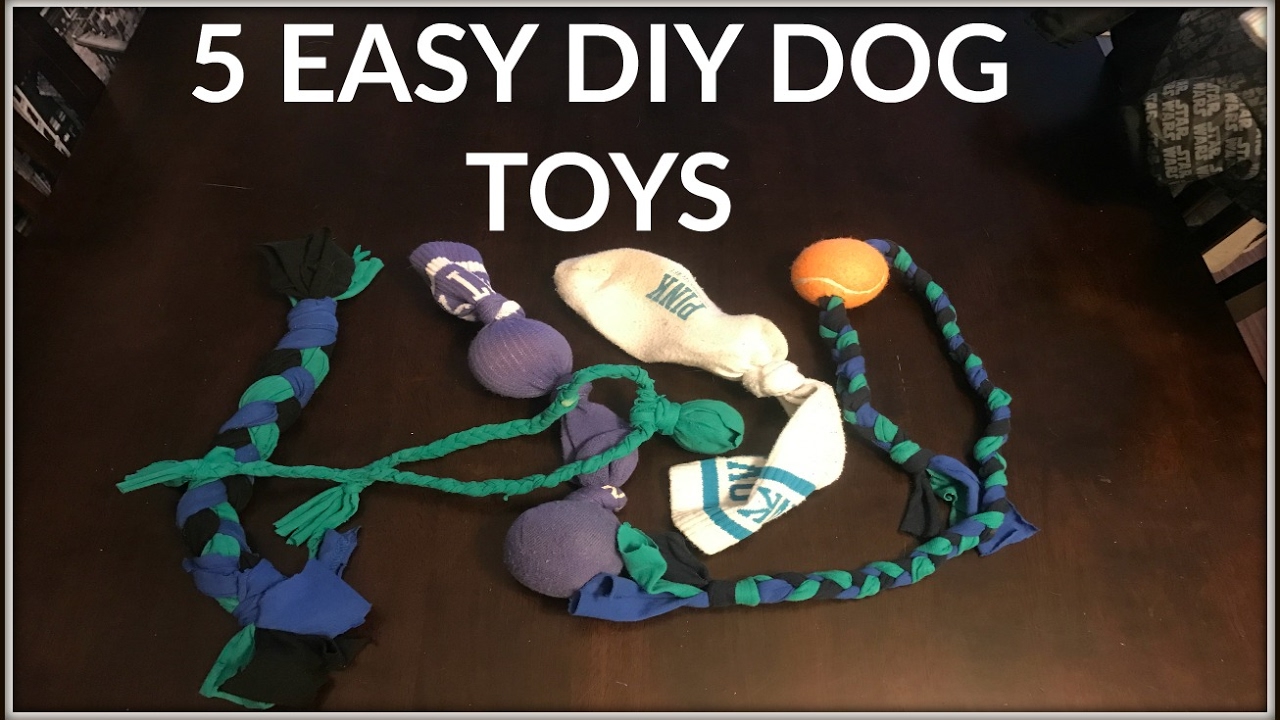 5 Super Easy DIY Dog Toys
