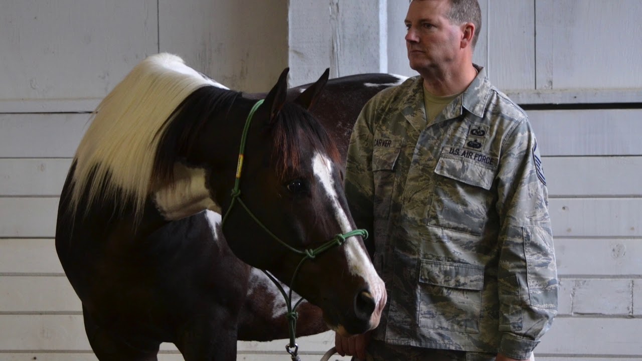 PATH International Equine Services for Heroes Virtual Conference