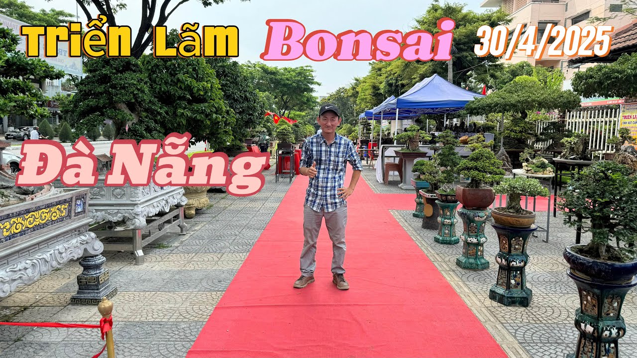 Triển Lãm Cây Cảnh Bonsai Nghệ Thuật Đà Nẵng 30/4/2025