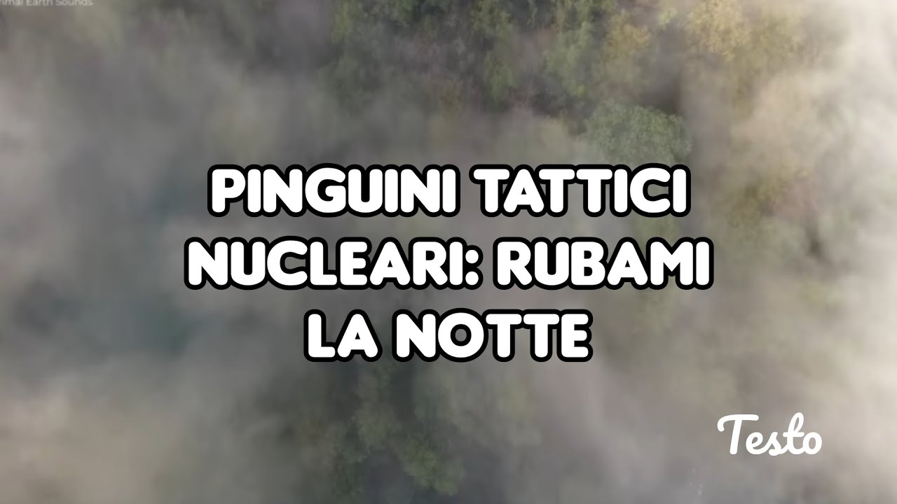 PINGUINI TATTICI NUCLEARI: RUBAMI LA NOTTE - TESTO