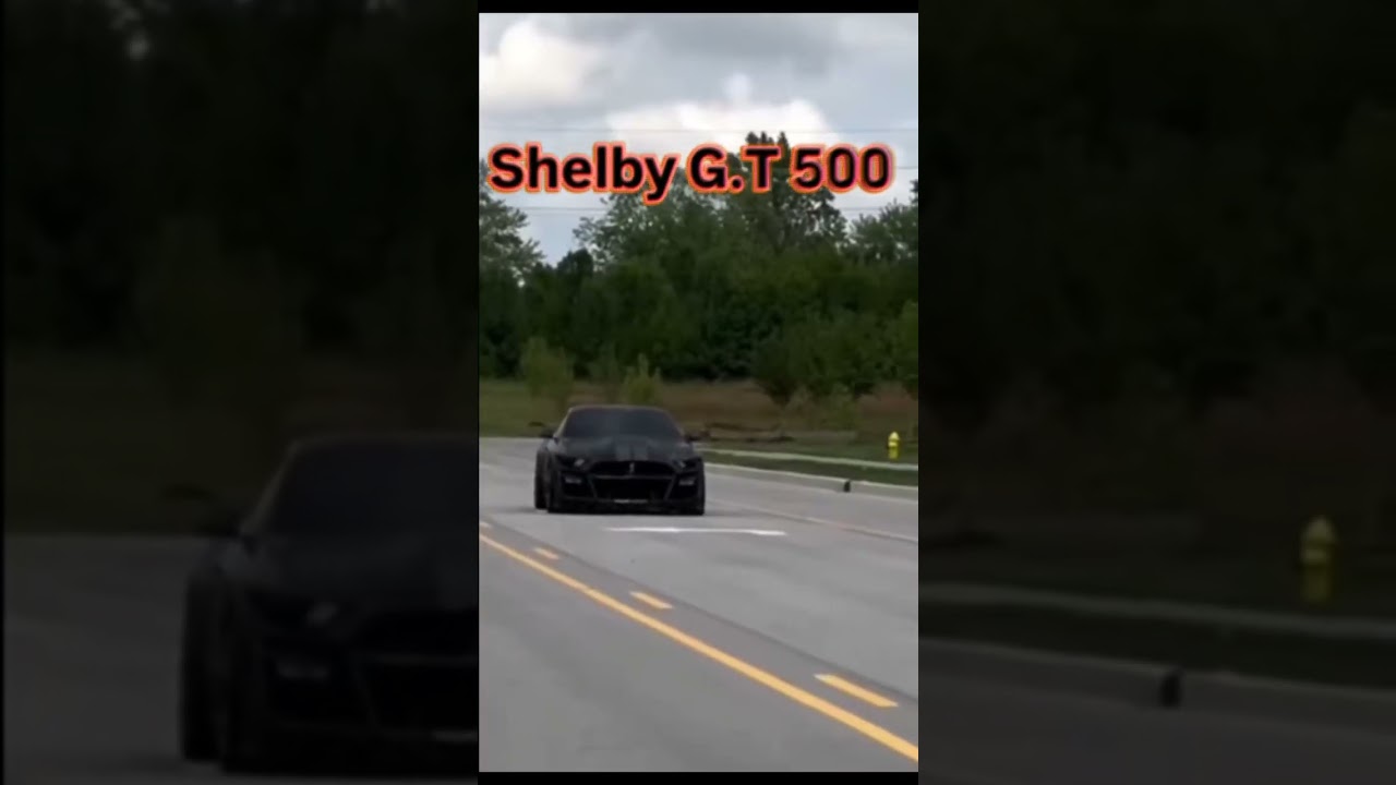 Foxbody 🦊 Vs Gt500 🐍 Burnout Battle 💨💨  
