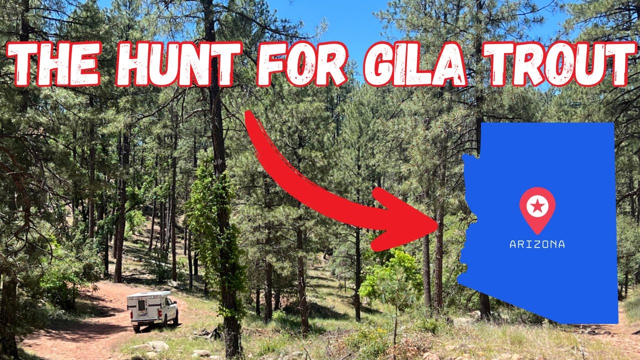 Chasing Gila Trout in Arizona Wilderness