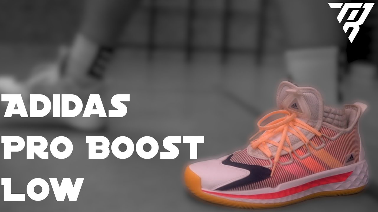 Adidas Pro Boost Low - Das beste was Adidas zu bieten hat !? - Performance Review