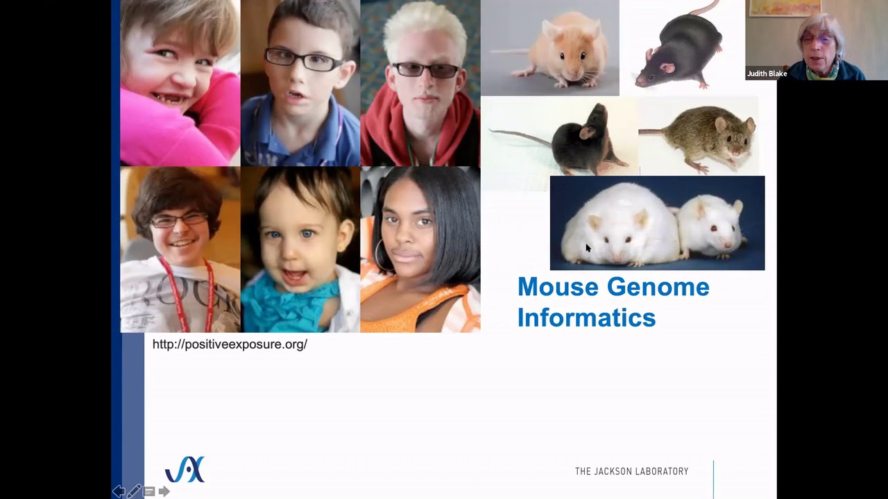 Keynote: From Data to Knowledge - Judith Blake - YBS 2020