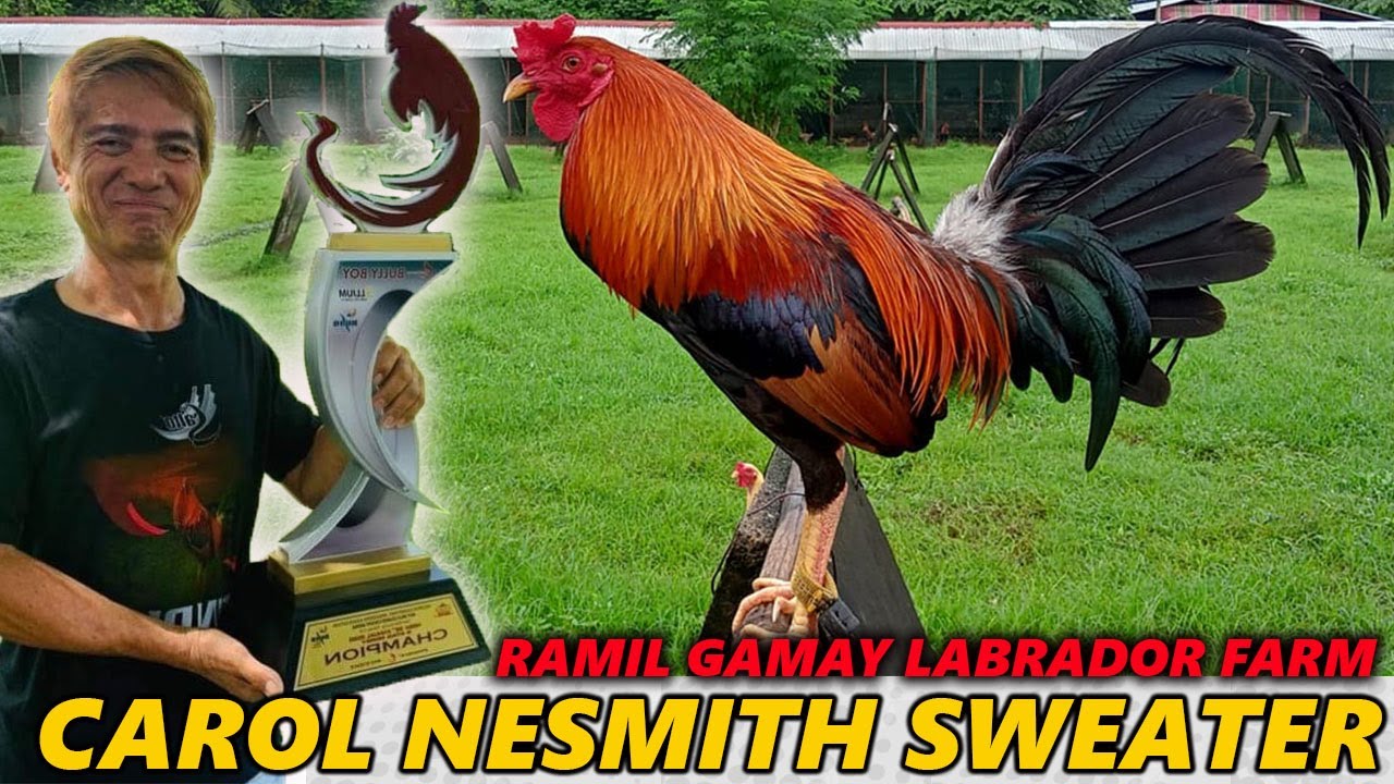 Ramil Gamay Carol Nesmith Sweater LABRADOR FARM - Big Farm In The Philippines Beautiful Birds