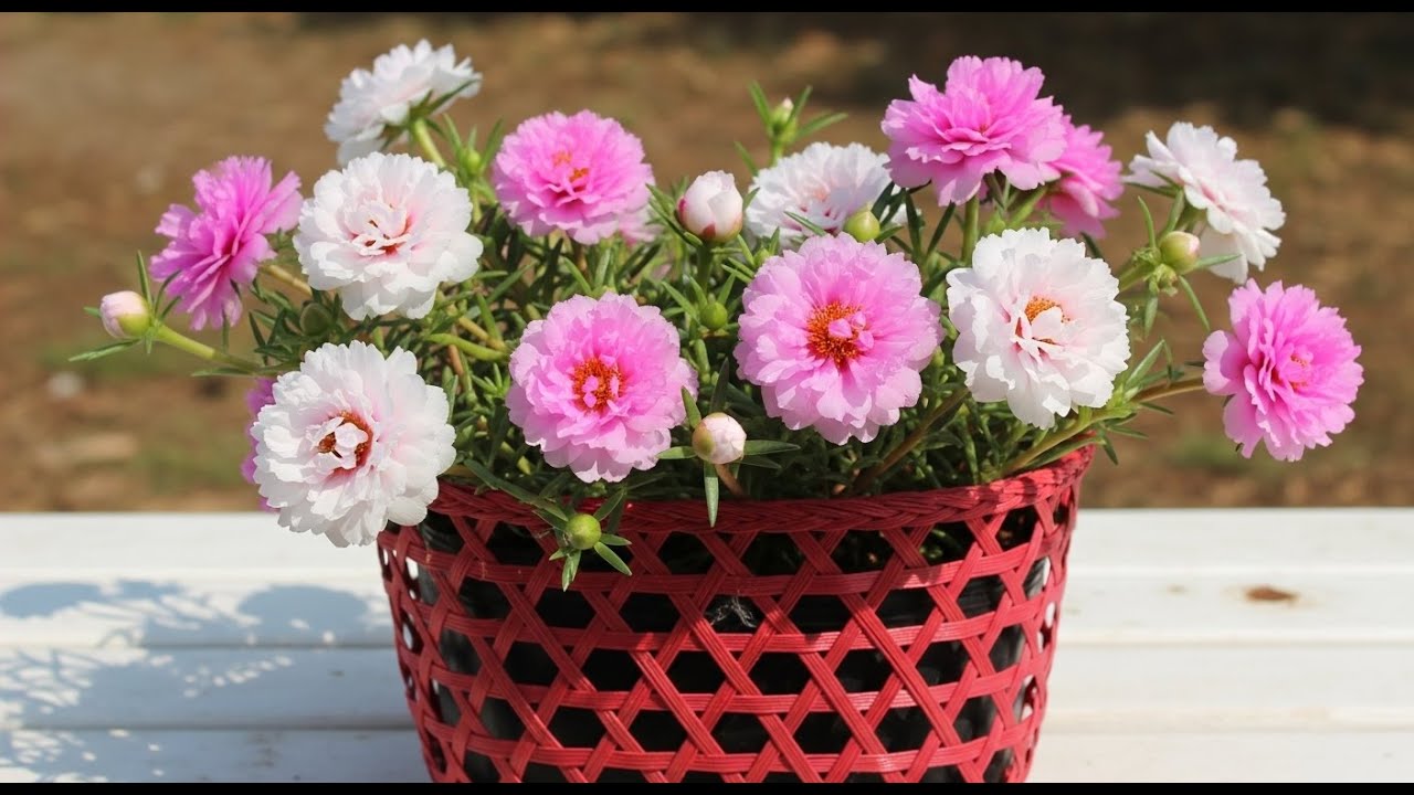 Turn Trash Into Awesome Flower Pots!