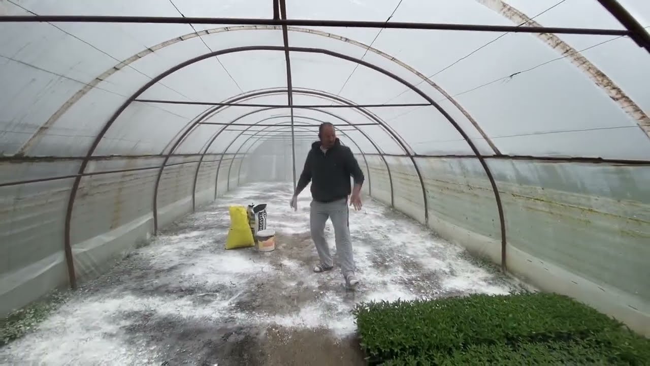 CUM PREGATIM SOLUL IN SOLAR SI GRADINI INAINTEA PLANTARII RASADURILOR DE LEGUME !