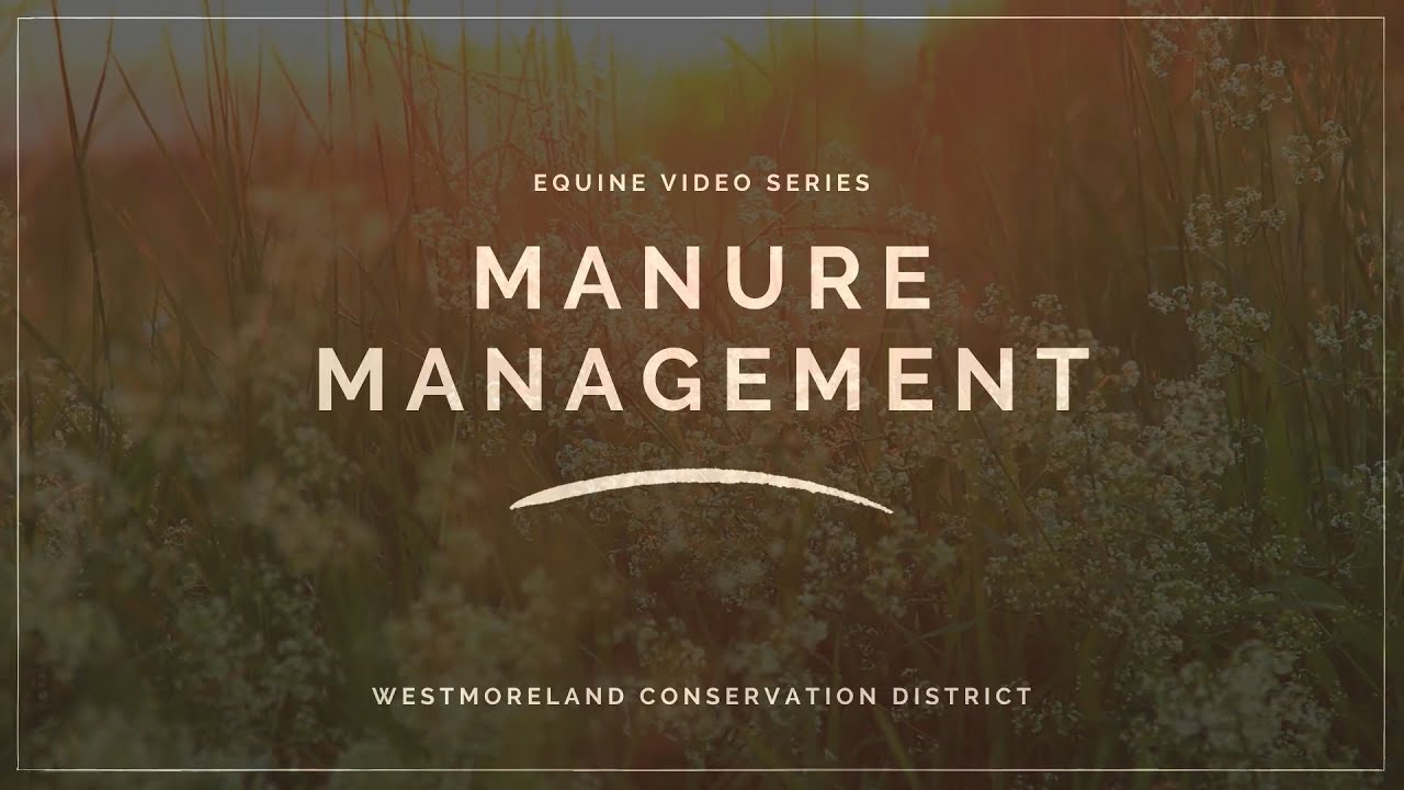 Equine Video Series | Manure Management