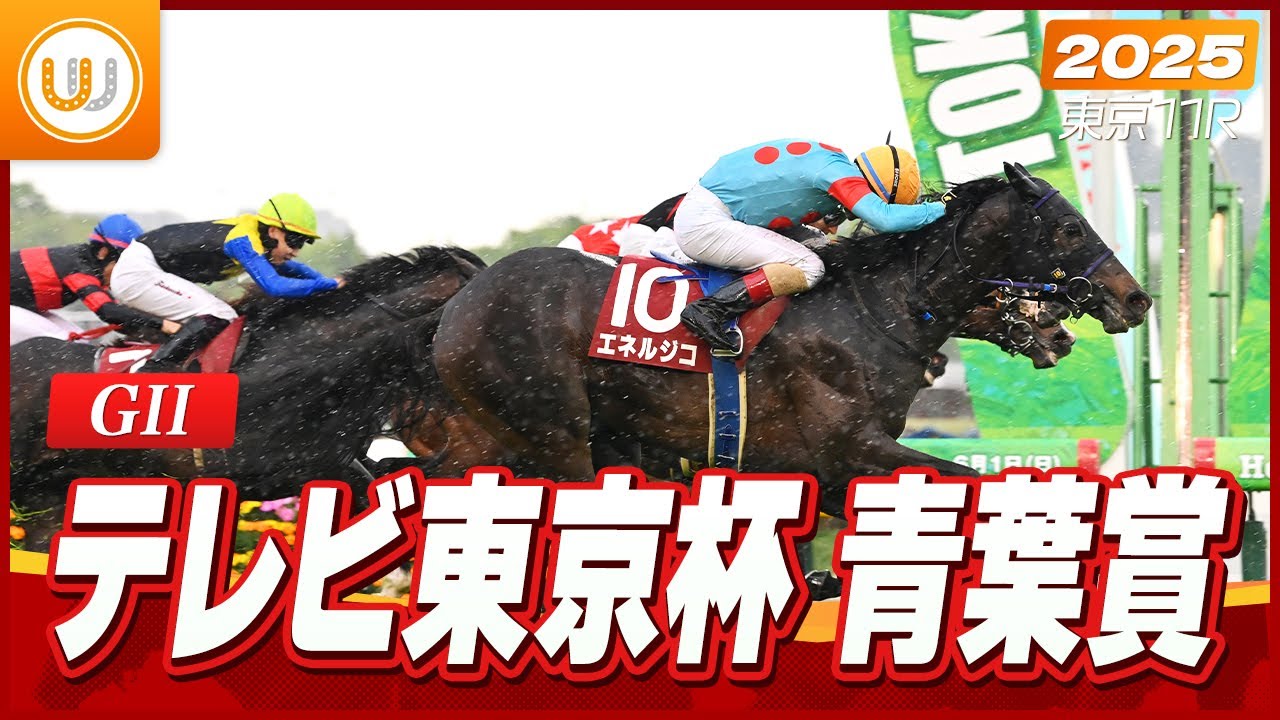 【レース映像】東京11R テレビ東京杯青葉賞｜エネルジコ（C.ルメール）｜ウイニング競馬