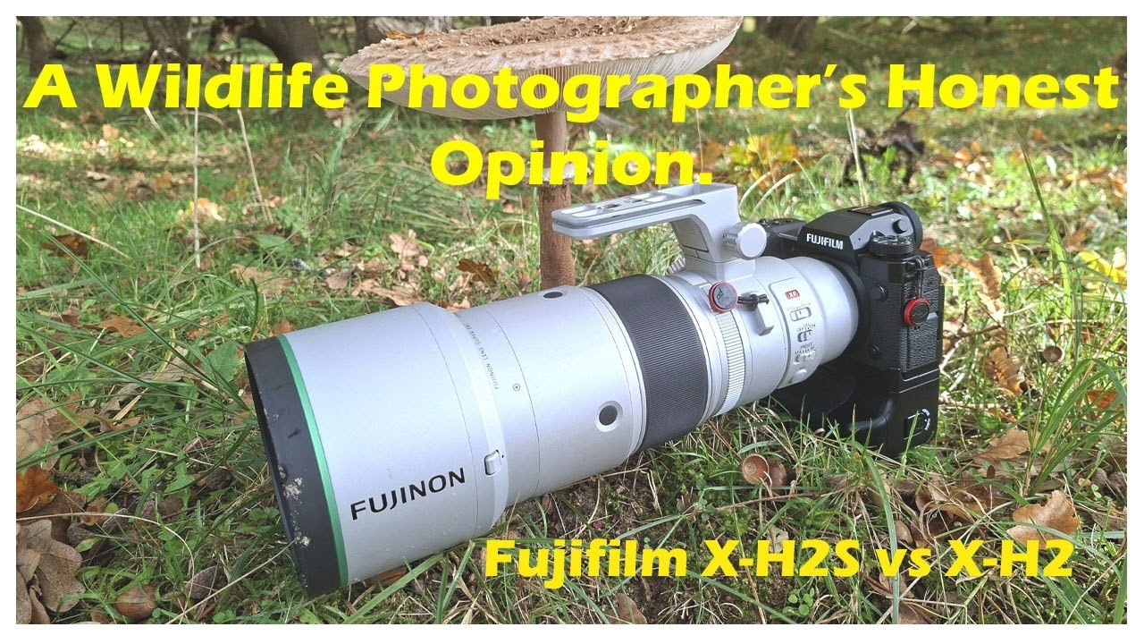 Fujifilm X-H2 vs X-H2S – Wildlife Photographer’s Honest Comparison