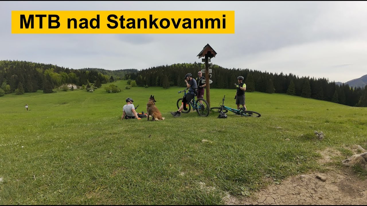 stankovany