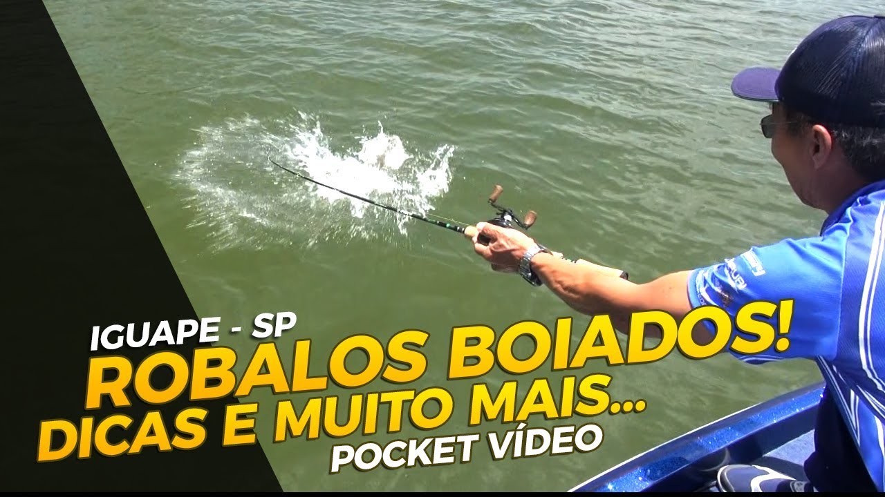 ROBALOS BOIADOS, DICAS E MUITO MAIS...  [POCKET VÍDEO]