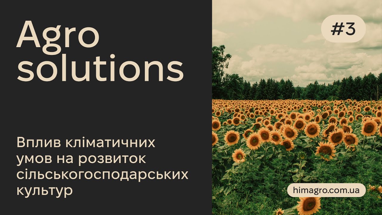 Agro Solutions №3 - Вплив кліматичних умов на розвиток сільськогосподарських культур