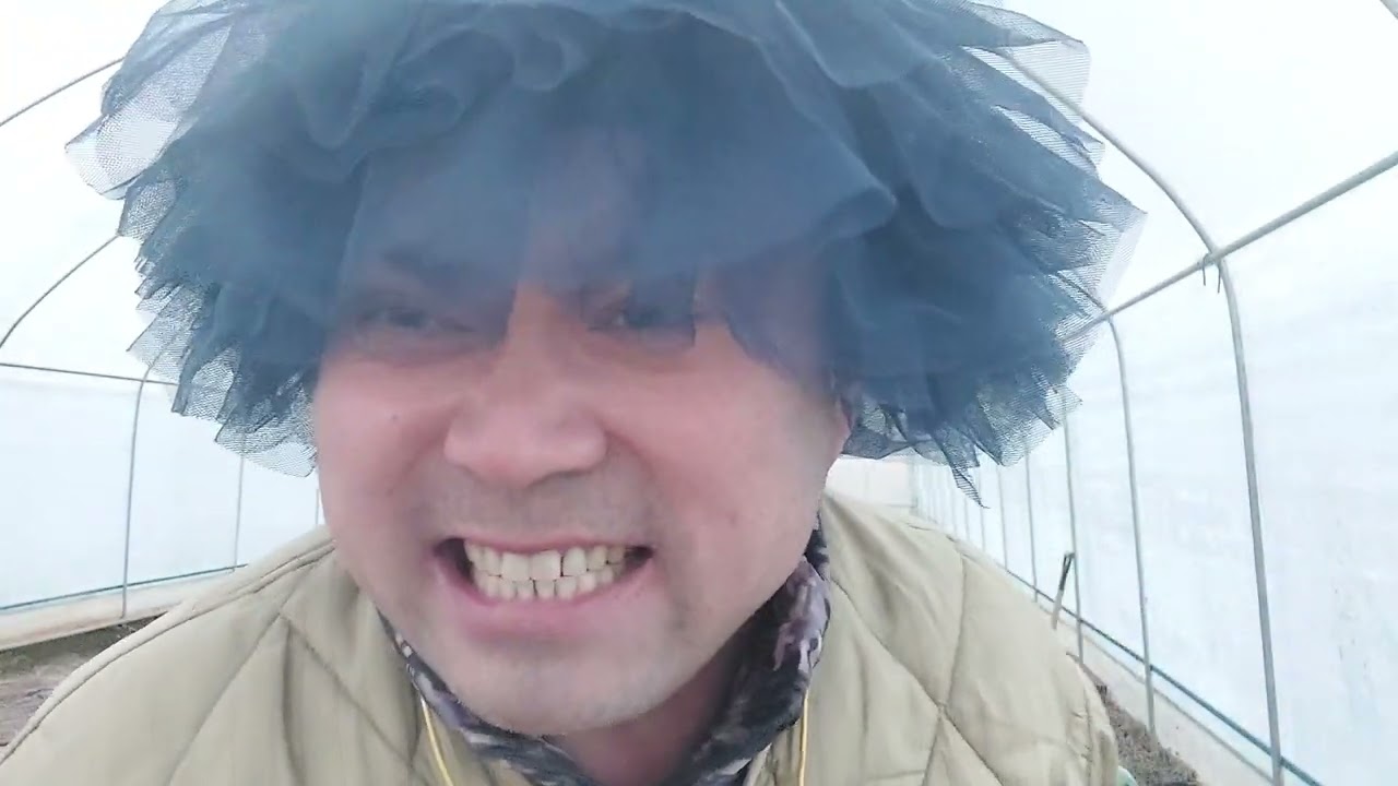 DOC와 춤을
