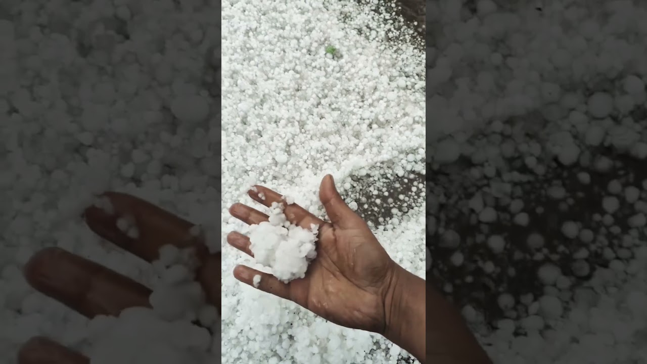 Belgaum.Current conditions include ice formation rainfall #rain #stone #icerain #belagavi #fyp #yt