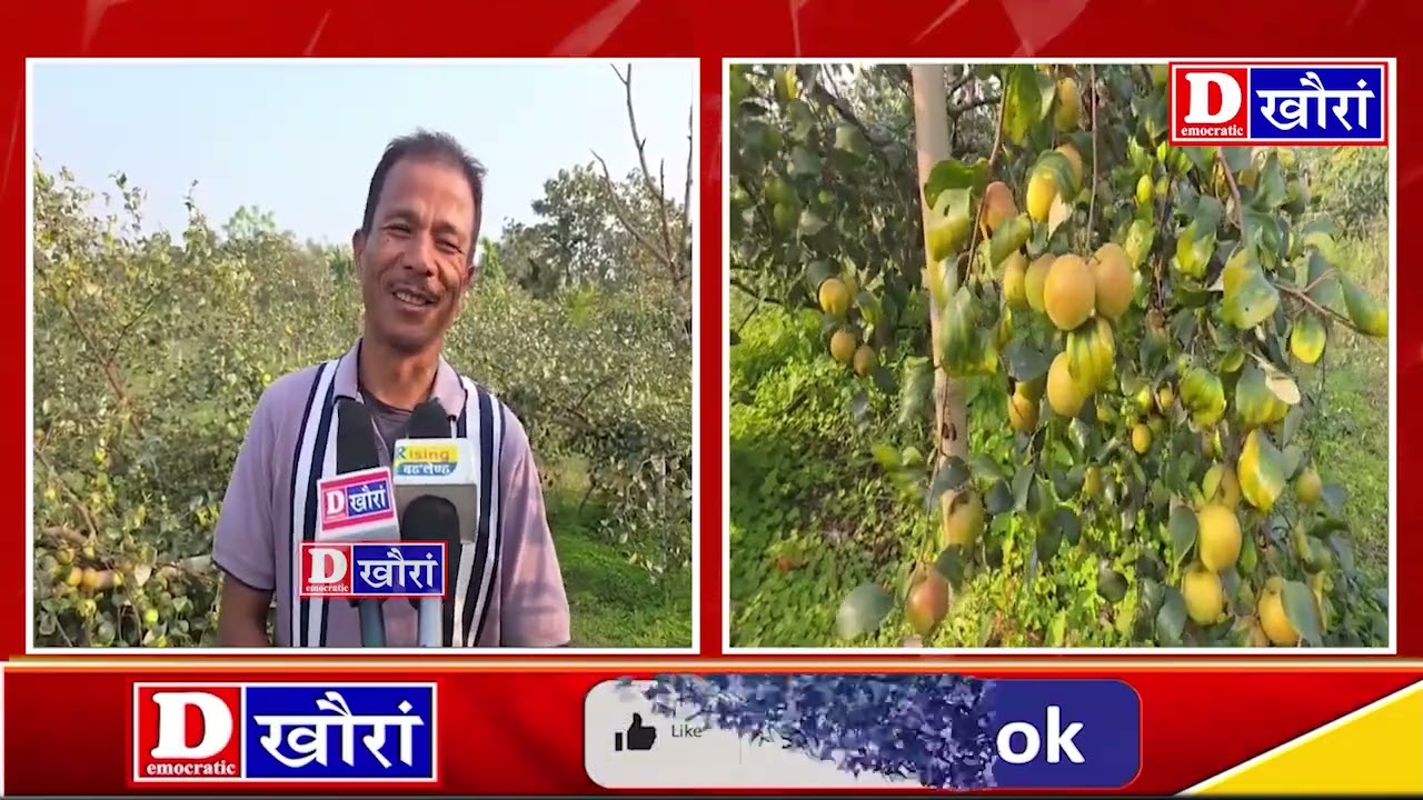 चिरांनि नेर्सोन नार्जारी मुंनि सासे सुबुंआ आबाद मावनानै जाफुंसार जानो हादों।