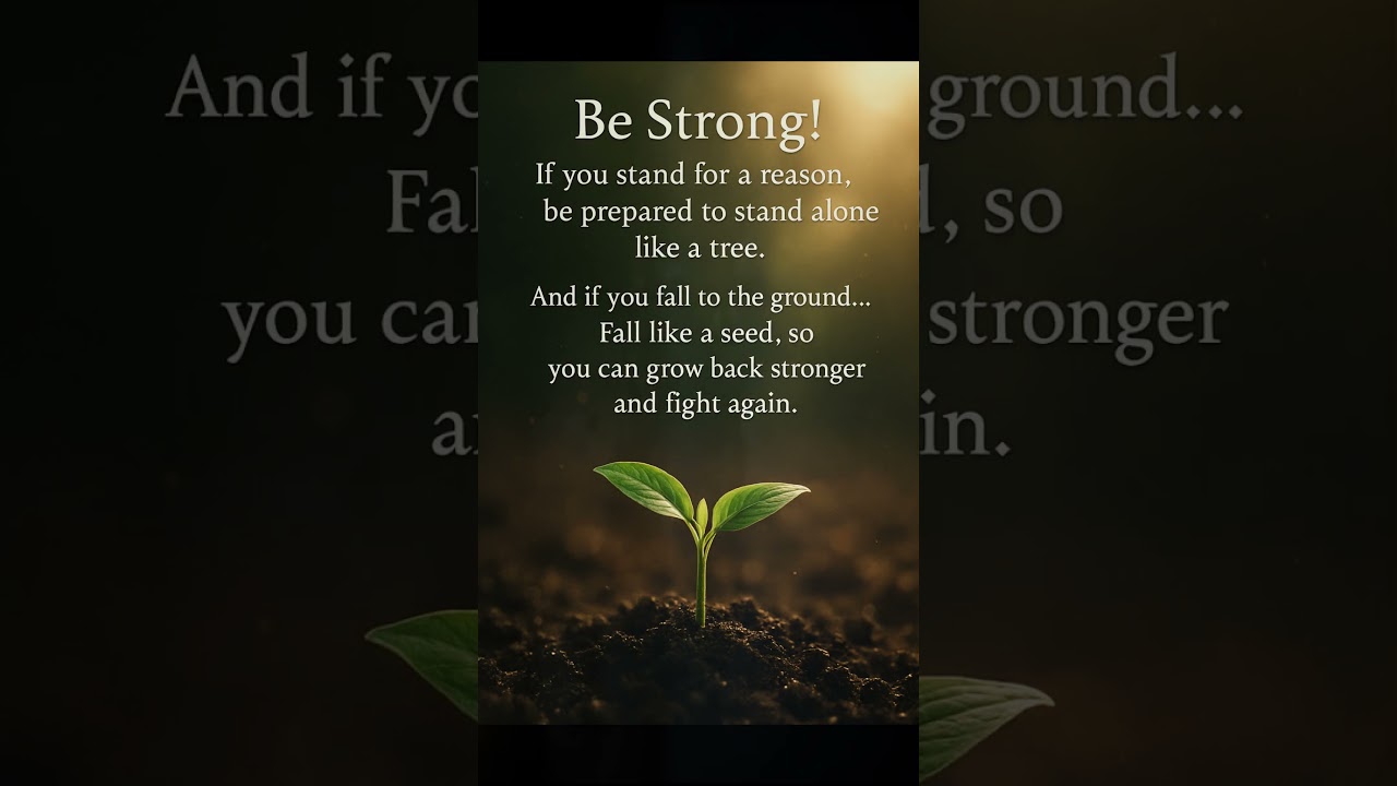 &ldquo;Fall Like a Seed&hellip; Grow Back Stronger! #Motivation  #Inspiration #Shorts