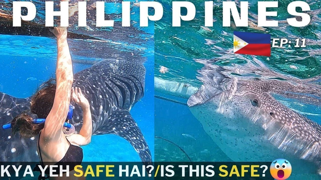 Snorkeling With Whale Sharks In Oslob, Cebu| Entire Process & Cost Details| Philippines Ep-11