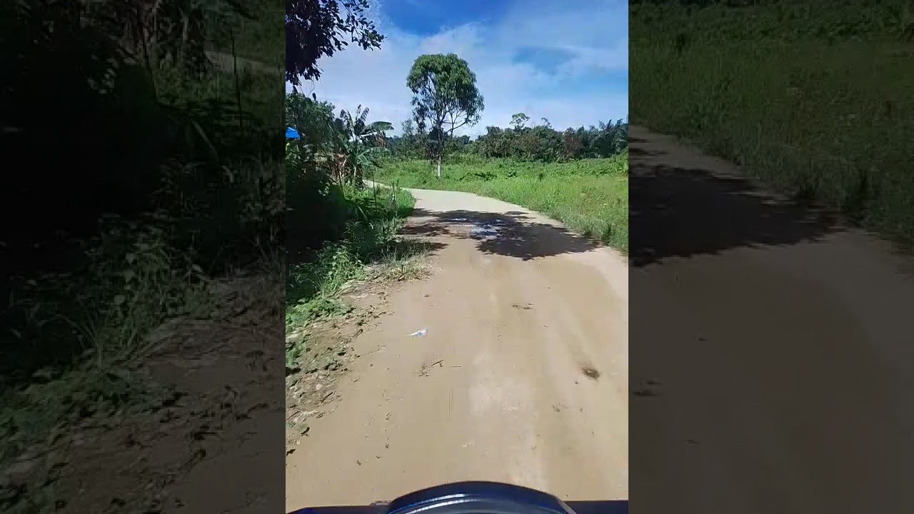 Jalan Jalan di Dusun Karya Baru Kelurahan loa duri ulu, Kutai Kartanegara