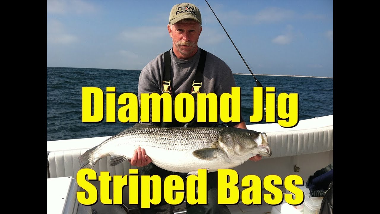 Diamond Jigging BIG STRIPED BASS Saltwater Fishing HOW TO Video