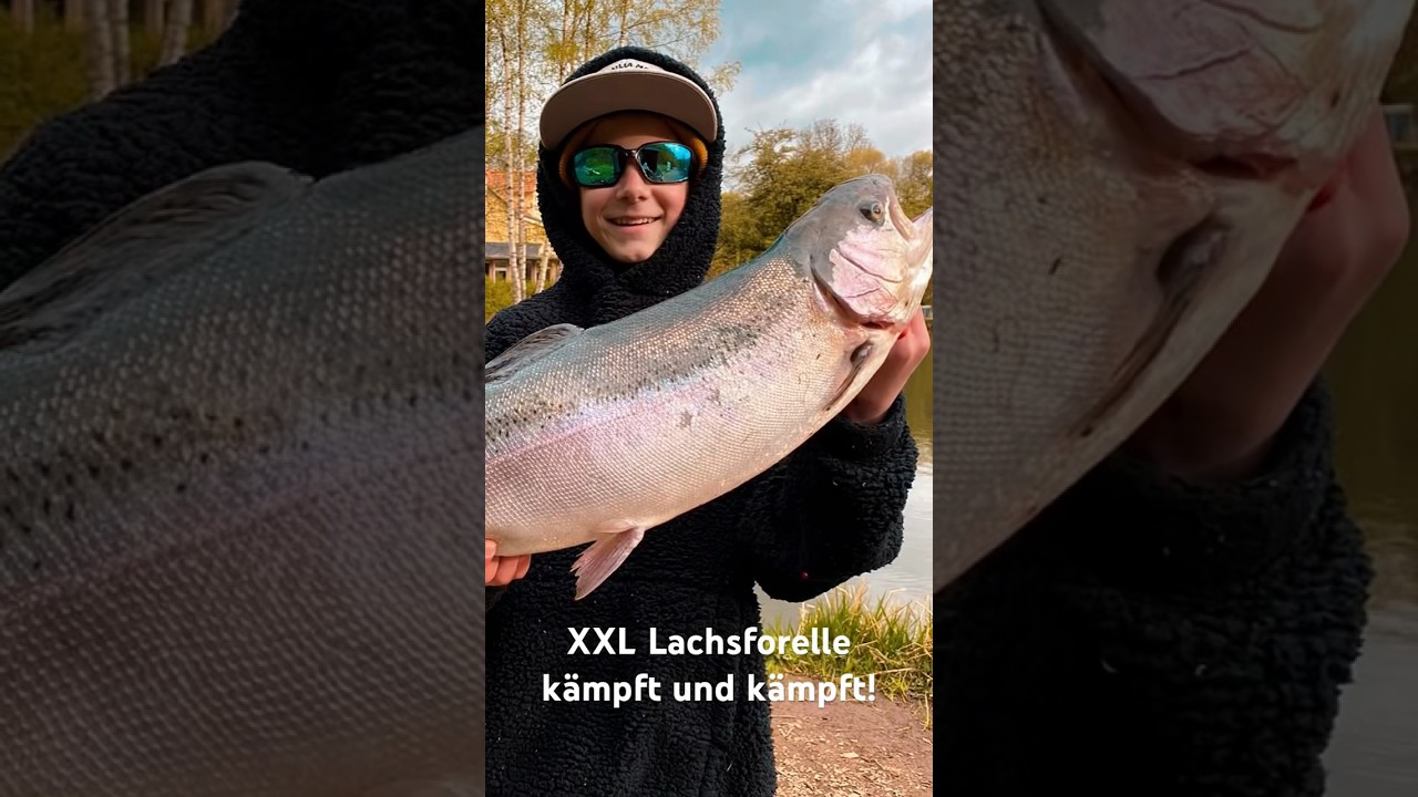 XXL Lachsforelle k&auml;mpft! #angeln #lachsforelle #lachs #bigfish #forellenangeln #ulangeln
