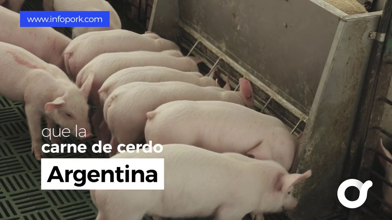 Infopork promueve el consumo de carne de cerdo argentino