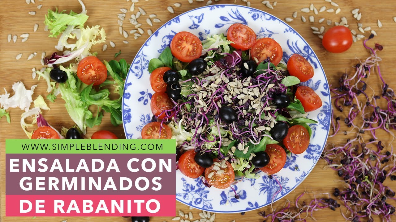 ENSALADA CON GERMINADOS DE RABANITOS | Receta de ensalada con germinados | Ensalada con rabanitos