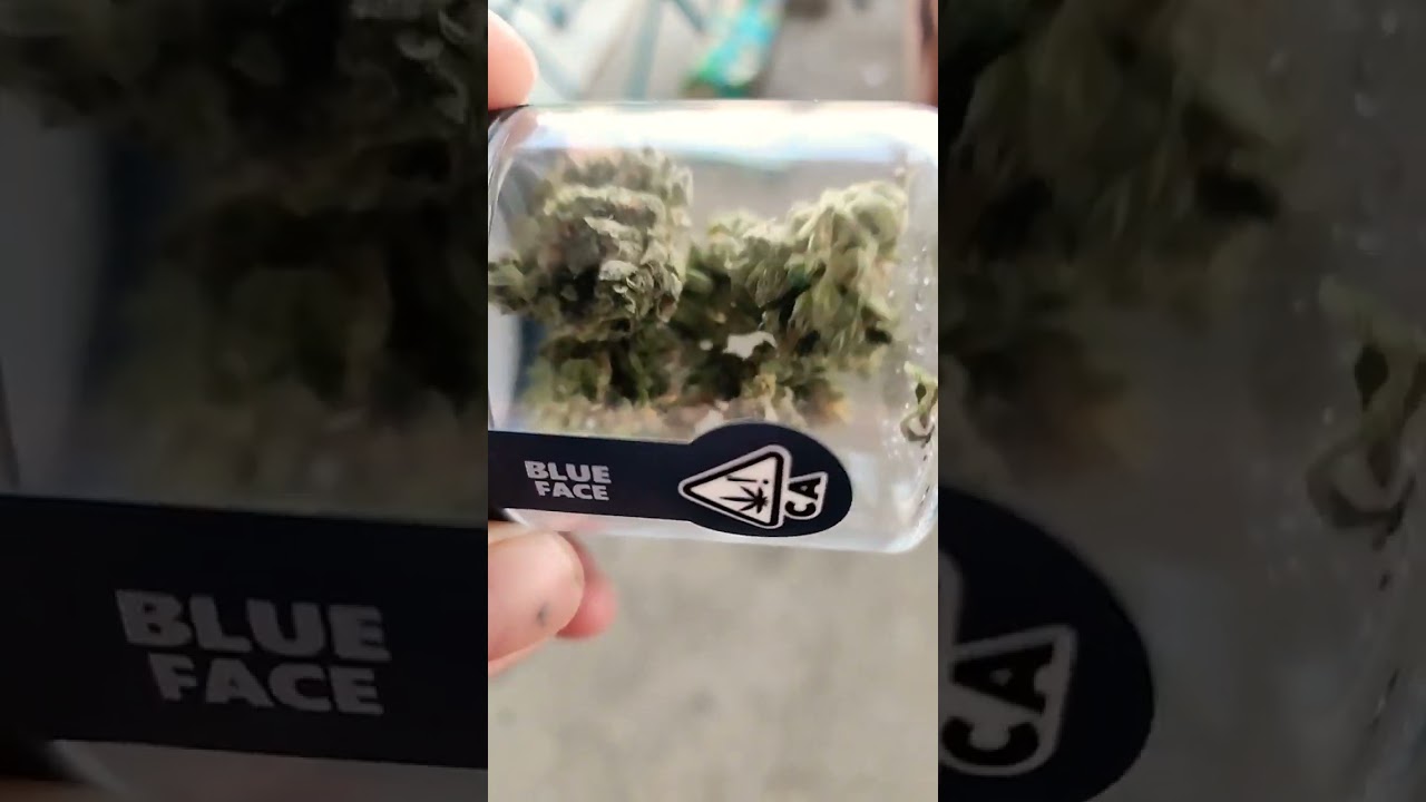 Blue Face by fig farm total thc is 43.56