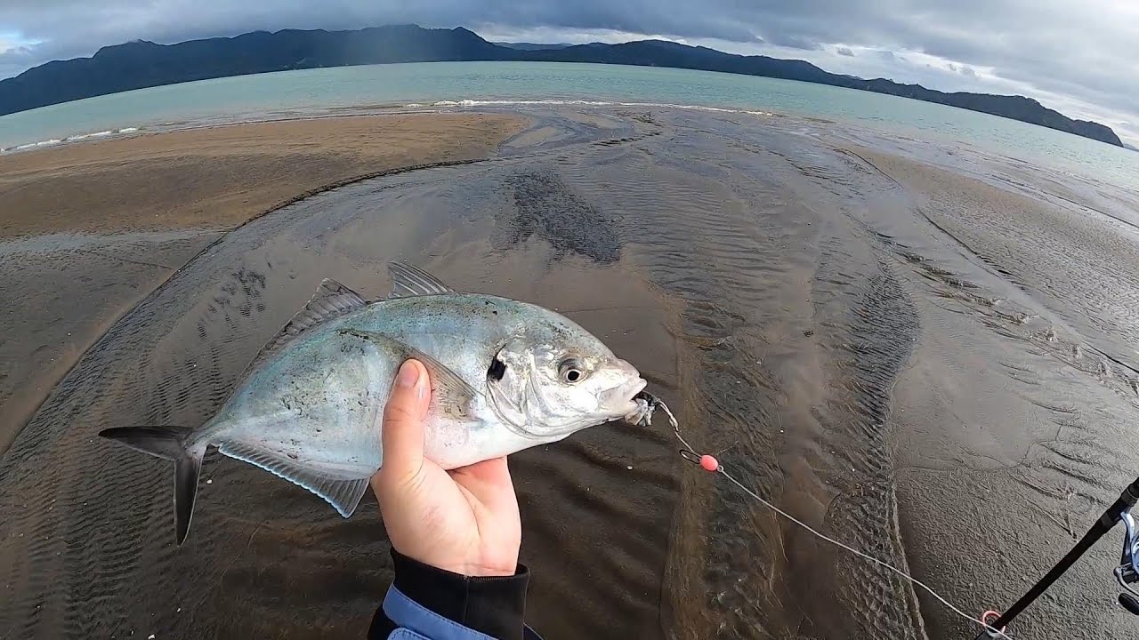 I am back surfcasting! (Awesome Beach Fishing action)