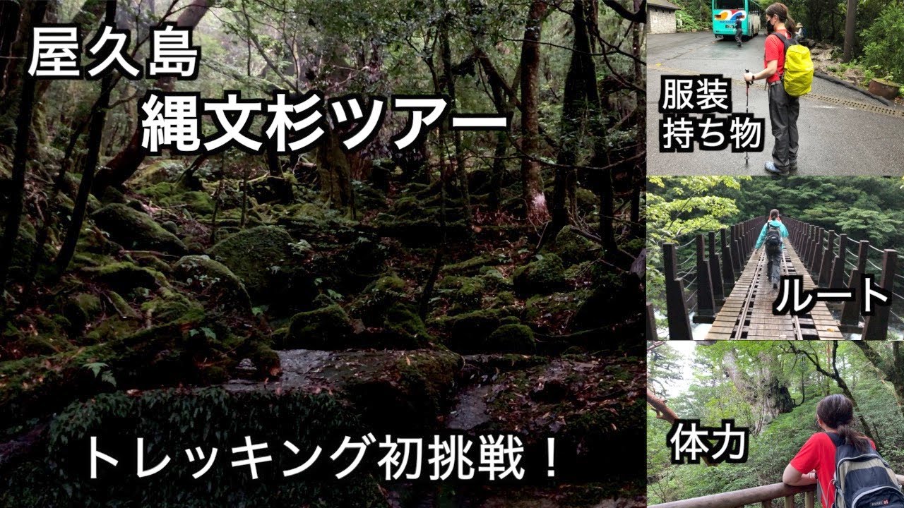 【屋久島】縄文杉トレッキングガイド（136）