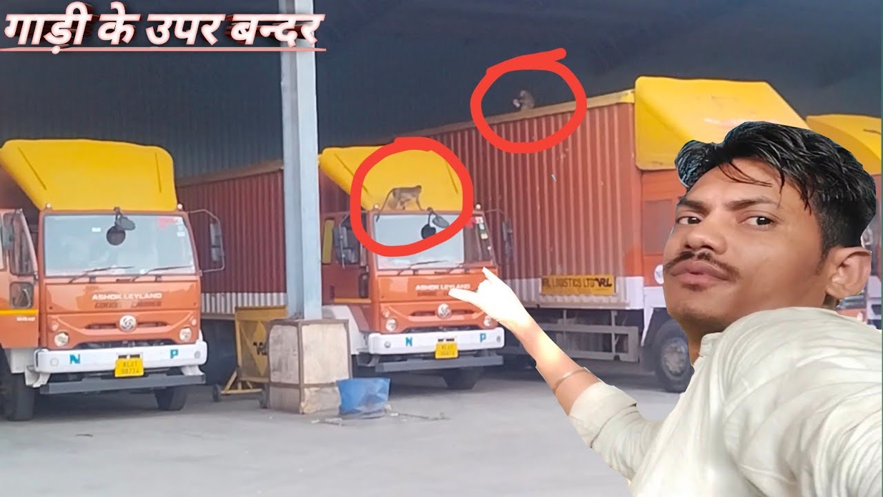 गाड़ी के उपर बन्दर क्या कर रहे l Pradeep traveling l 👌