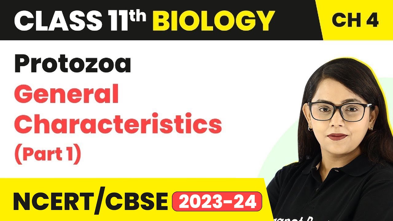 Protozoa: General Characteristics (Part 1) - Animal Kingdom | Class 11 Biology Chapter 4 |NCERT/CBSE