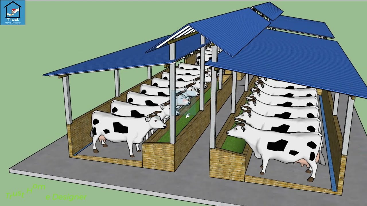 ২০ টি গরুর খামারের ডিজাইন for 20 Cow Farm design in Bangladesh