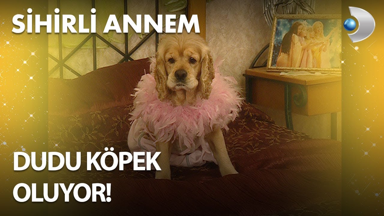 Dudu, Köpek Oluyor! - Sihirli Annem 106. Bölüm