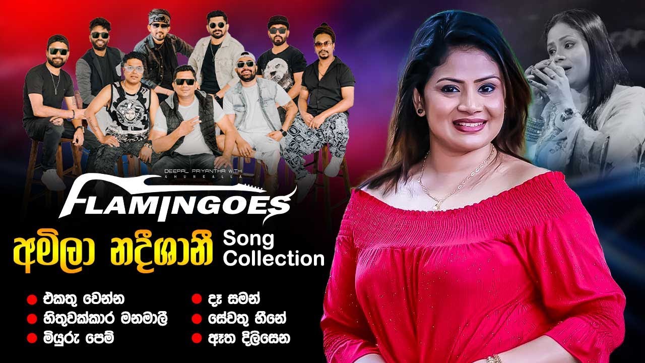 Amila Nadeeshani Song Collection | Ahungalla Flamingoes