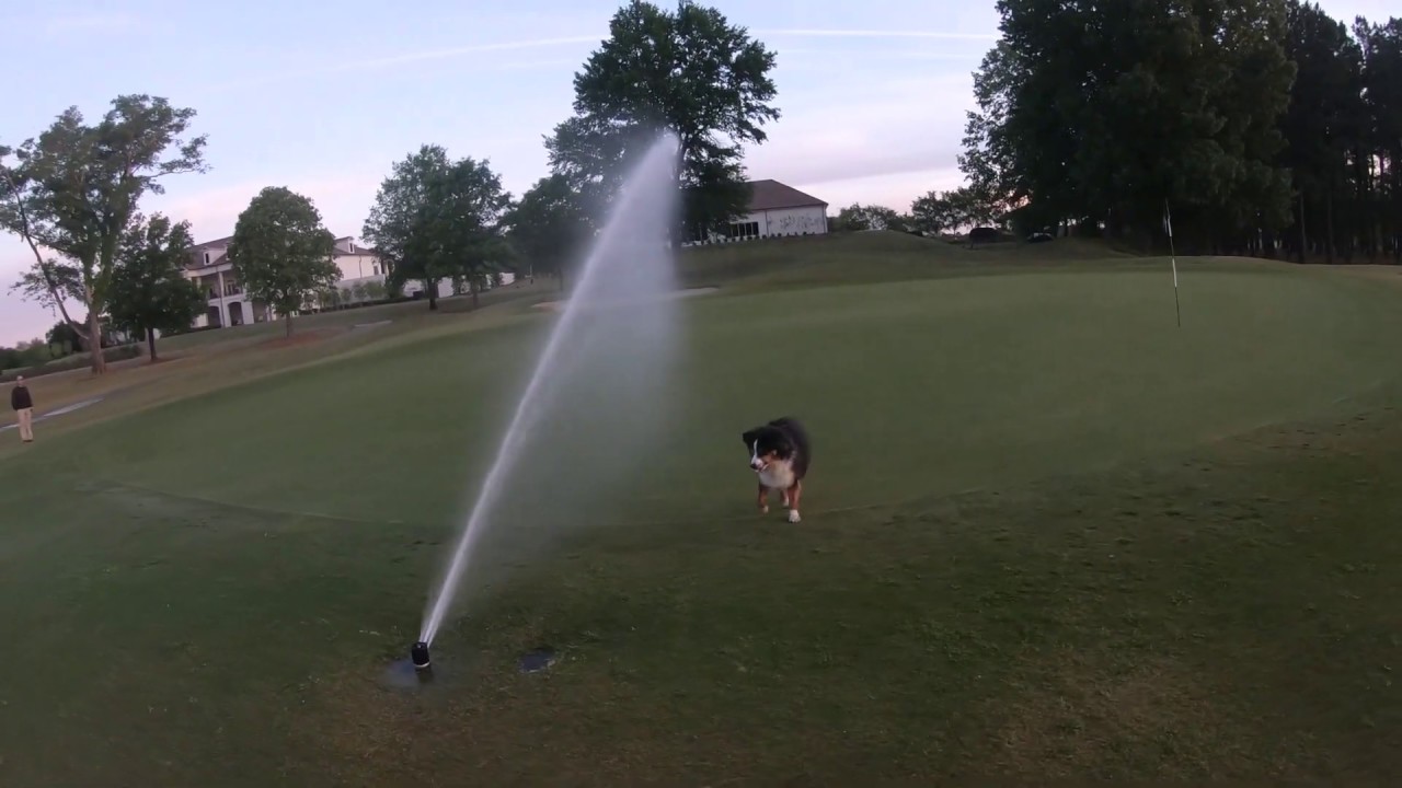 A Day in the Life of Golf Course Superintendent, Charley Crell