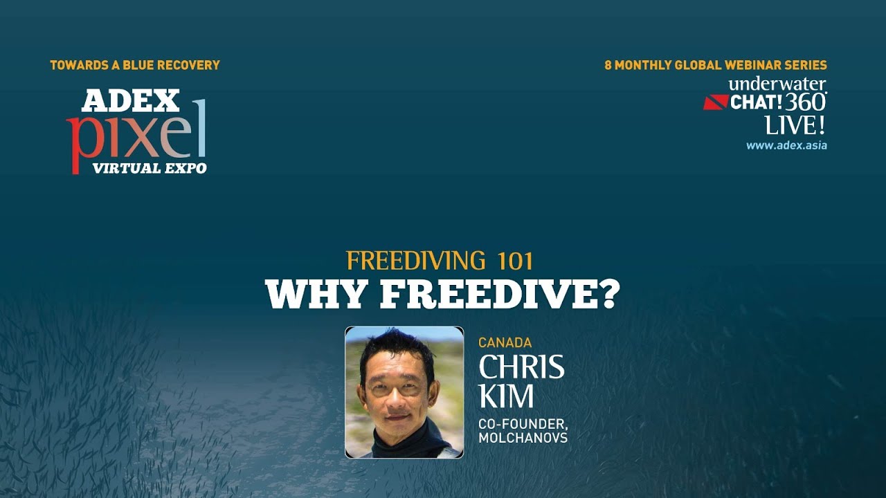 Freediving 101 &ndash; Why Freedive?