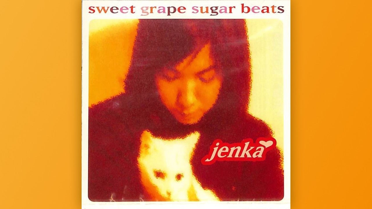 WALKIN' IN THE RAIN / JENKA