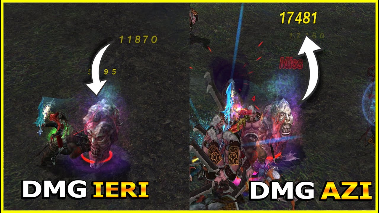 CAT CONTEAZA INSOTITORUL?? DMG CU NOUL INSOTITOR - Metin2Ro Tigerghost