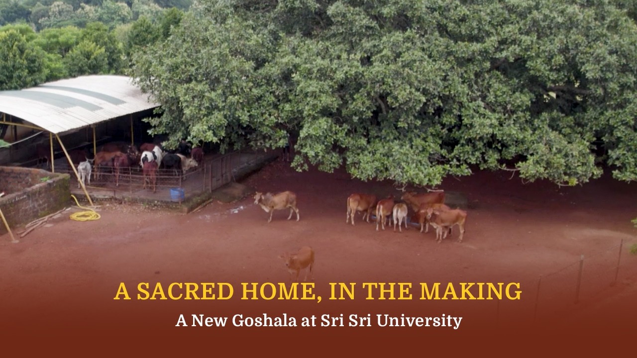 A Home of Love. A Space of Care. A Sacred Beginning. | Sri Sri University