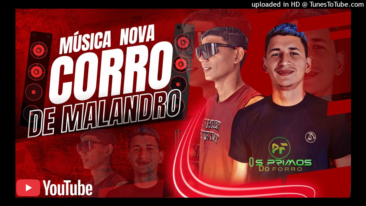 CARRO DE MALANDRO
