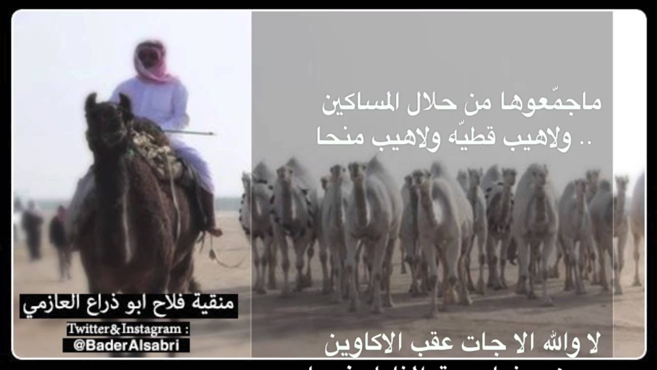 منقية فلاح ابو ذراع اداء بدر الصابري