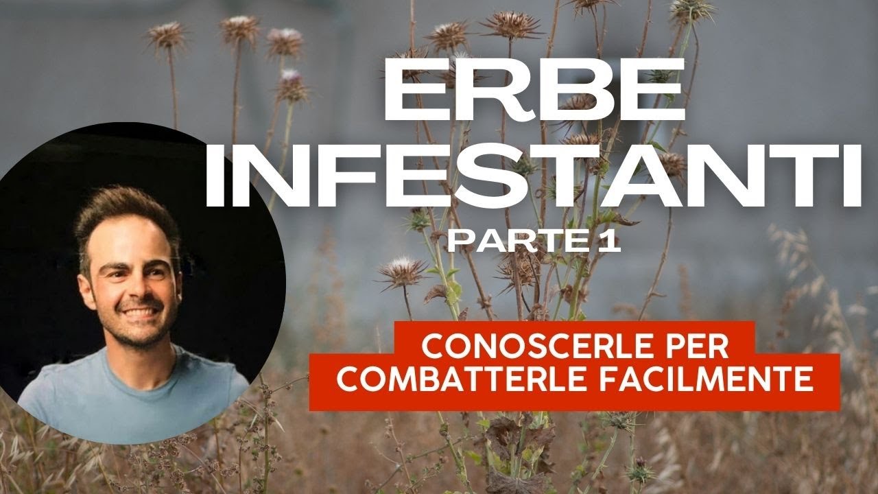 Erbe infestanti, conoscerle per combatterle - PARTE 1 -