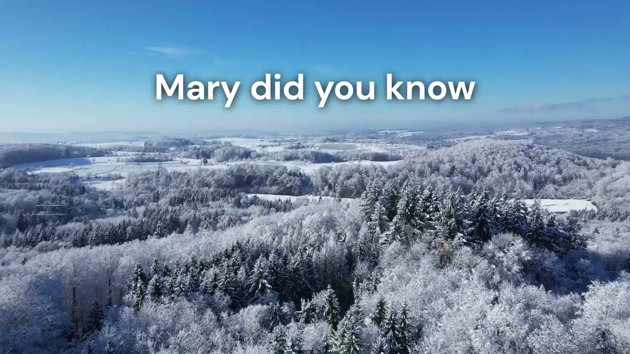 Mary did you know | Panflöte | Pan flute | Andreas Dück