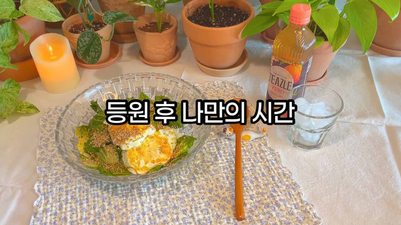 아이 등원 후 혼자 보내는 오전 | 봄동비빔밥, 린넨 다림질, 식물 물갈이🌿