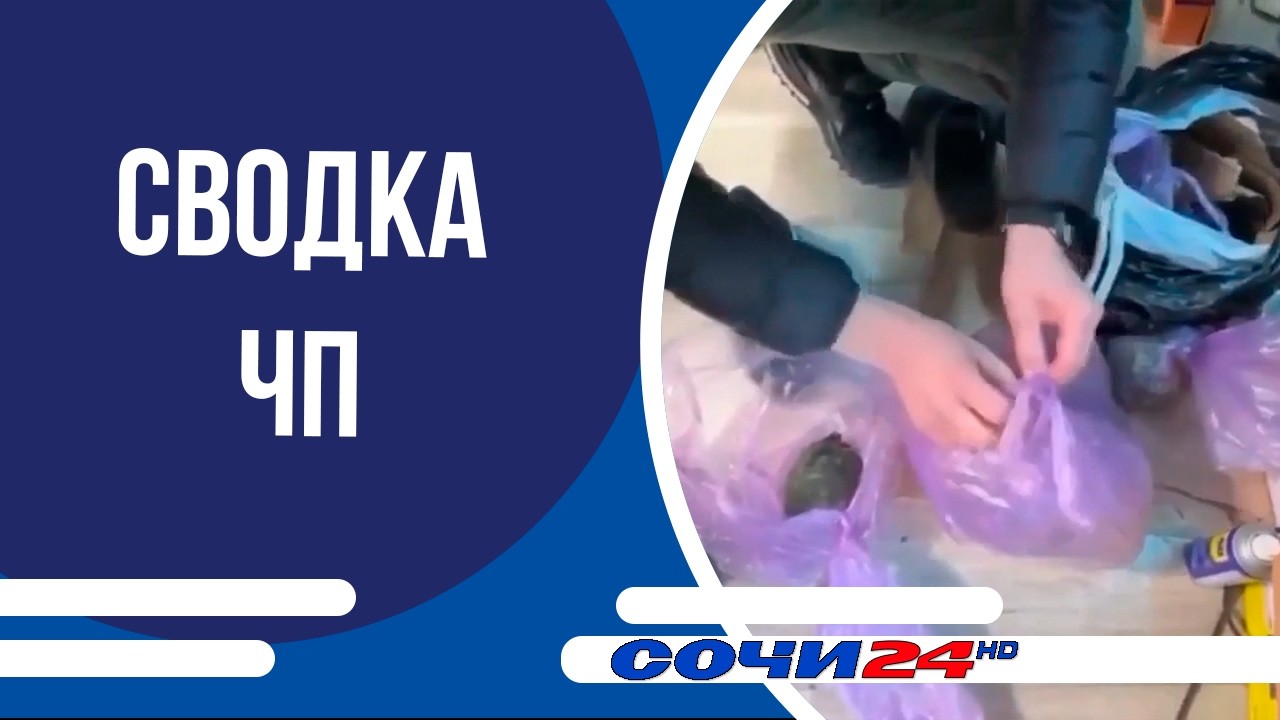 Сводка ЧП